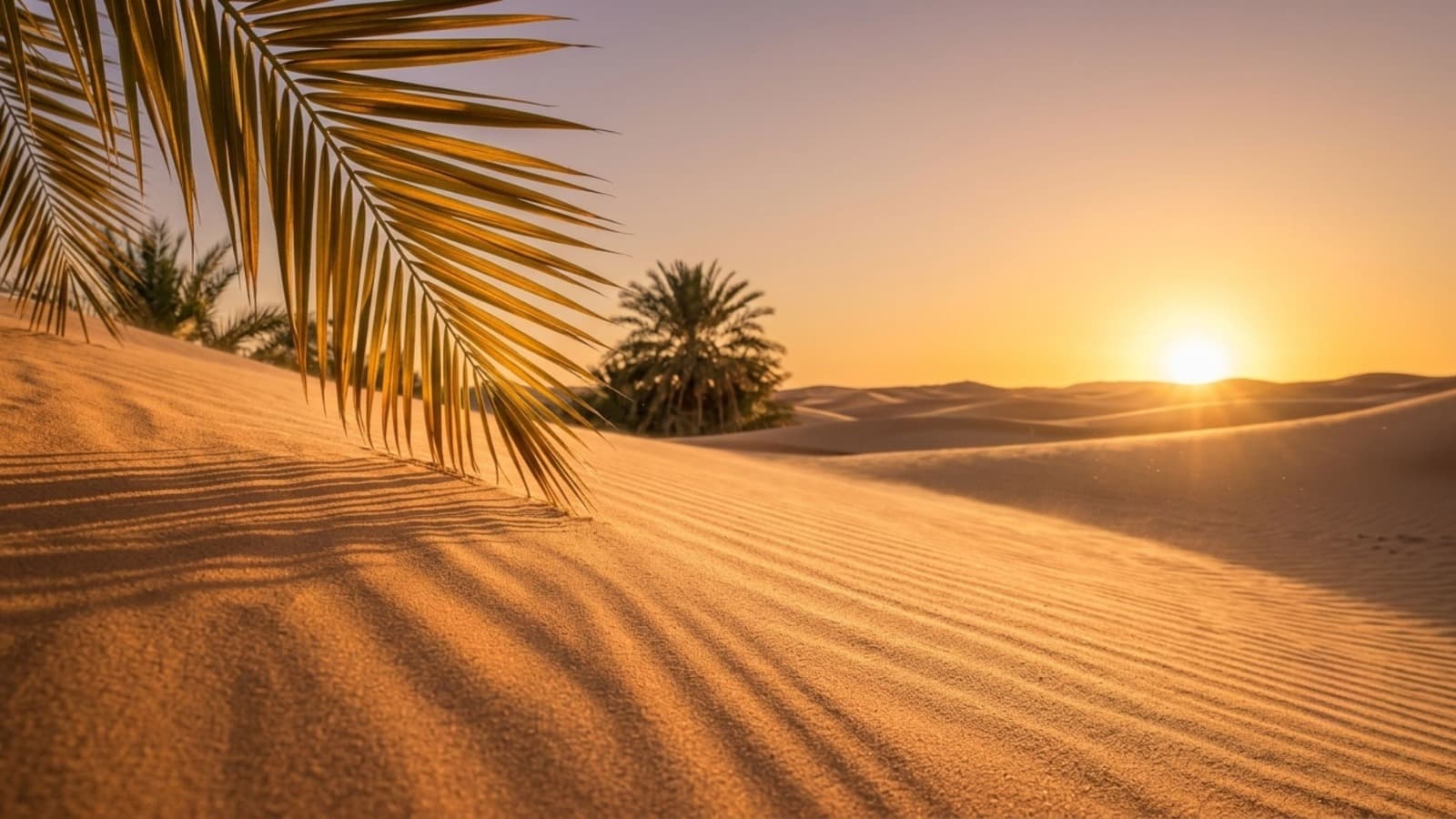 Dubai skyline view